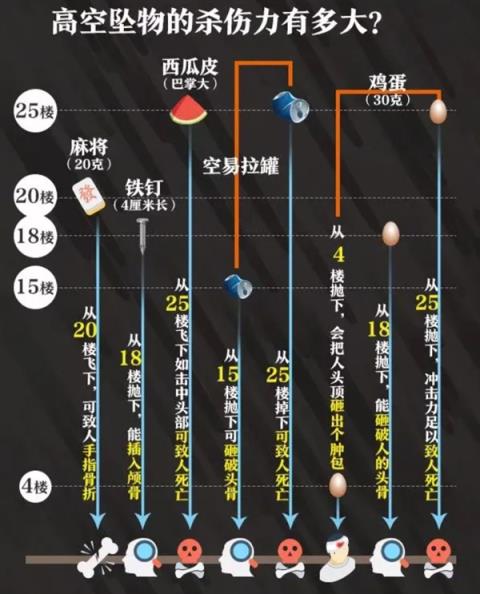 女子将两只小狗从21楼扔下罚4000元 高空抛物杀伤力有多大(图2)
