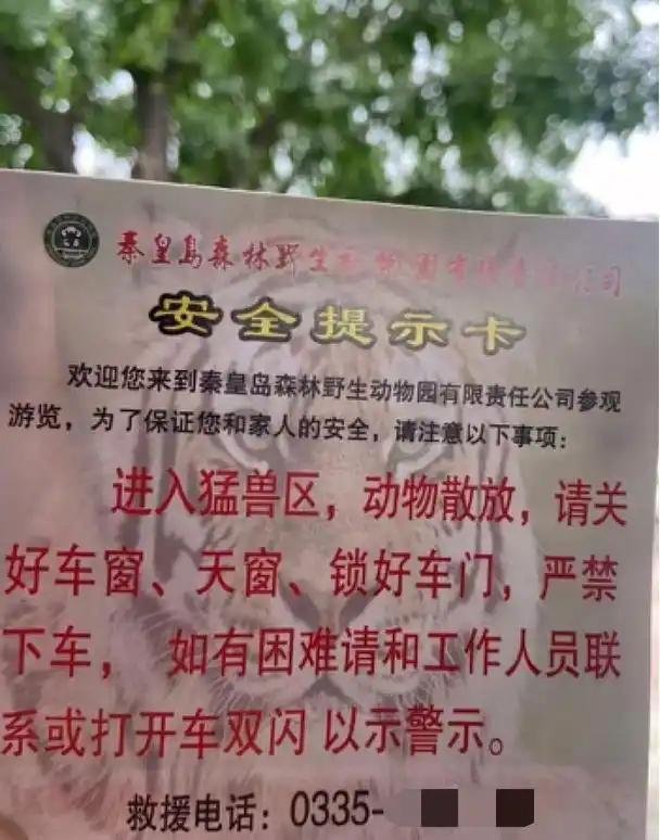 动物园内多名游客下车当老虎面吵架