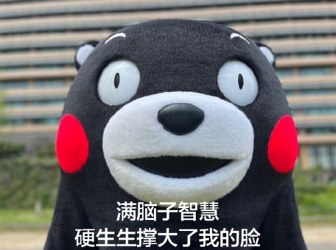 中国人靠着10万头黑猪 把沙壁整顿成了粮仓?(图4)