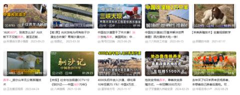 中国人靠着10万头黑猪 把沙壁整顿成了粮仓?(图5)