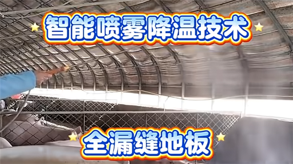 清华女博士回应“拍短剧被指浪费学历”：搞科研更难(图1)