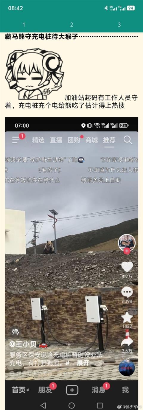 高速服务区充电桩被告知无法使用：因为有只狗熊一直守着(图1)
