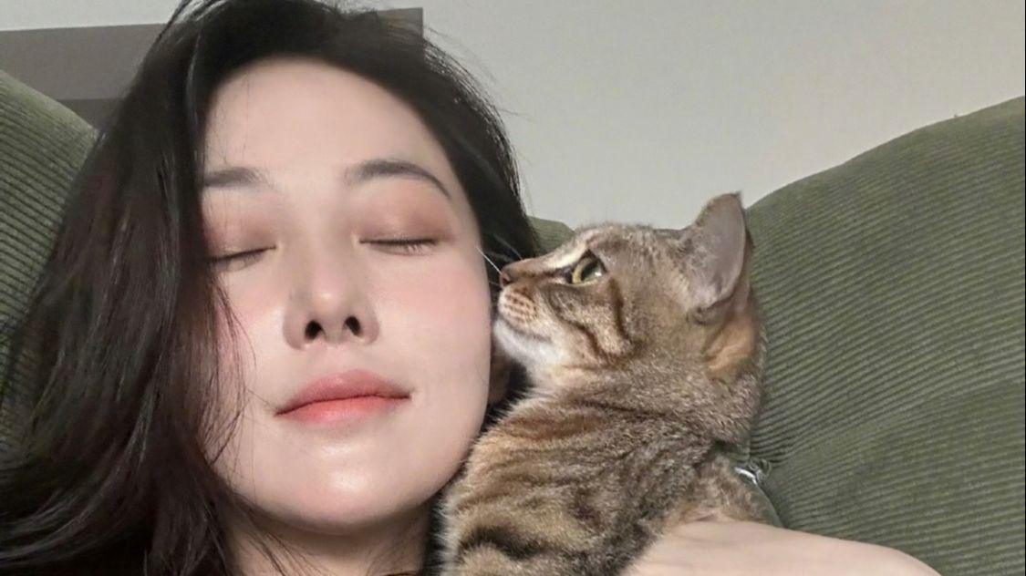 张馨予何捷撸猫逗狗:与家中爱宠嬉戏玩闹