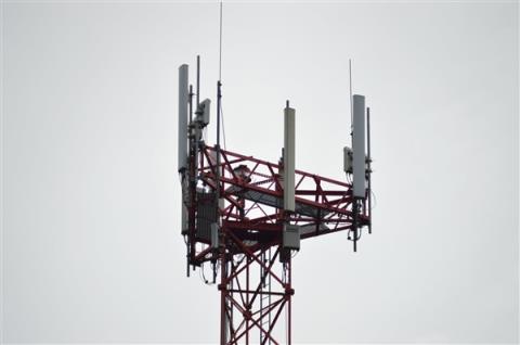 国家打造“宽带林草”：90％都要通上4G/5G(图1)