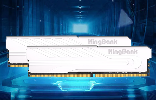 32GB内存将成为游戏玩家的主流配置 占比已达35%