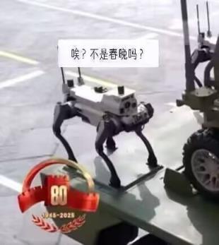 机器狼亮相九三阅兵：最多负重20公斤 30秒极速换电池(图2)