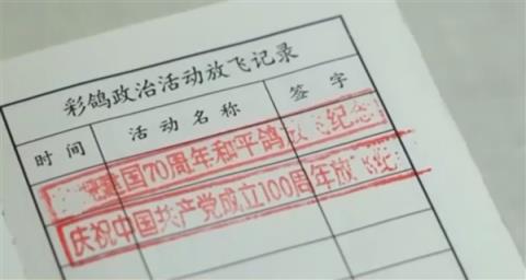 阅兵广场放飞的和平鸽中有“冠军”带队：骨骼肌肉健壮 会认家(图2)