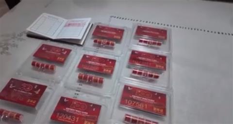 阅兵广场放飞的和平鸽中有“冠军”带队：骨骼肌肉健壮 会认家(图3)