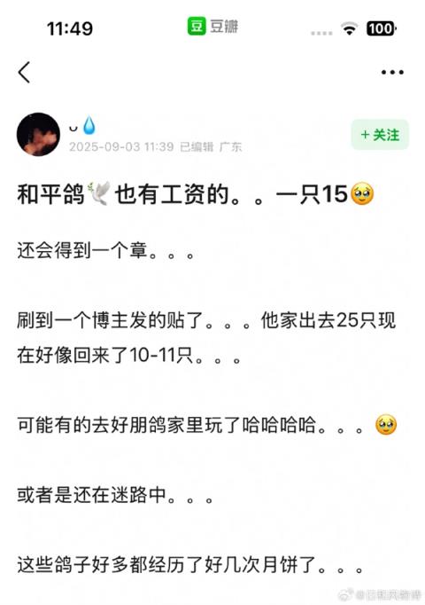 观礼结束后好心人救起落水和平鸽 腿上绑有数字编号  网友：“饼鸽鸽”有工资(图1)