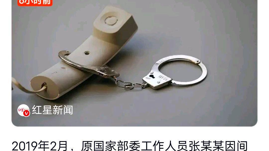 间谍张某某死缓:出轨外国女官员生子?网友:具体情况