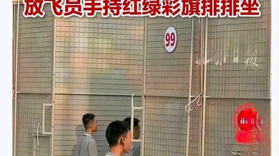 8万只气球缘何直径都是26厘米左右?网友:这么多讲究门道啊赞叹