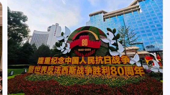 小朋友眼中的九三阅兵?网友:阅兵仪式太震撼