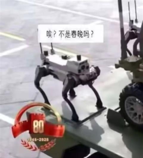 看完今天的大阅兵 我的想象力有点跟不上了(图8)