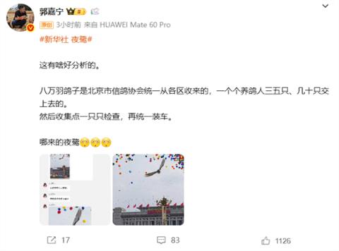 九三阅兵上放飞的一只鸽子火了 有人质疑是夜鹭：多方回应(图2)