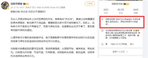 东北虎脱敏训练遇到会功夫的兔子 全程被暴揍“百兽之王”尊严碎一地(图1)