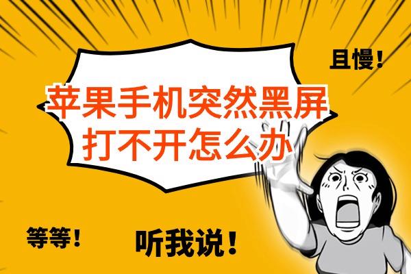 苹果手机突然黑屏打不开怎么办？一步步教你解决
