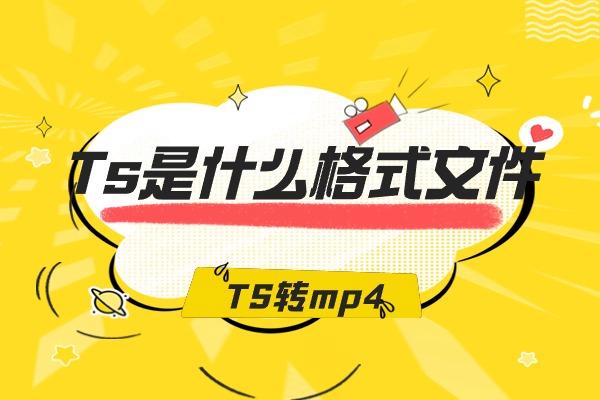 Ts是什么格式文件