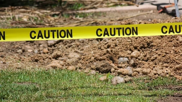 一年叼4块人骨回家 疑来自同一人!宠物犬乱捡东西牵出离奇命案-图3 一年叼4块人骨回家 疑来自同一人!宠物犬乱捡东西牵出离奇命案-图3