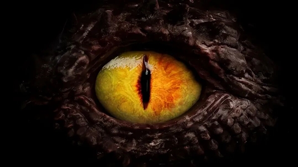 荷兰女子患罕见疾病 看到的人脸会扭曲为龙脸-图3 荷兰女子患罕见疾病 看到的人脸会扭曲为龙脸-图3