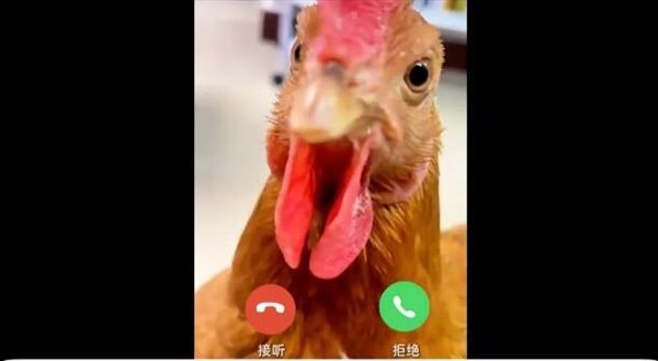 明天徐州队VS南京队 蚂蚁保和支付宝先干起来了 中国四大烧鸡将参战-图2 明天徐州队VS南京队 蚂蚁保和支付宝先干起来了 中国四大烧鸡将参战-图2