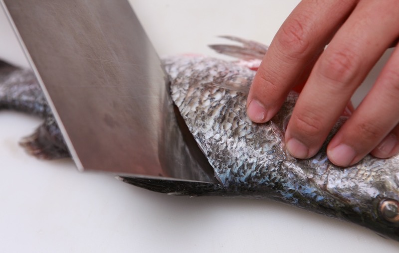 怎么煎鱼不粘锅不掉皮?煎鱼不破皮技巧-图7 怎么煎鱼不粘锅不掉皮?煎鱼不破皮技巧-图7