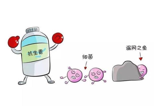 抗生素是激素吗?抗生素是什么药-图1 抗生素是激素吗?抗生素是什么药-图1