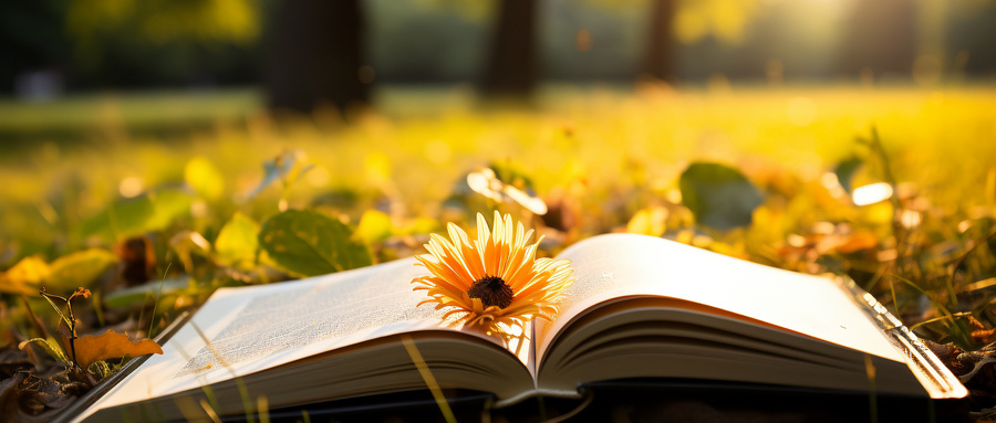 实际排名和分数段排名是什么意思-图1 实际排名和分数段排名是什么意思-图1