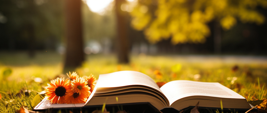 吡啶氮氧化物掉氧的原因-图1 吡啶氮氧化物掉氧的原因-图1