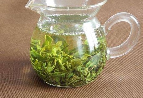 日照绿茶哪个牌子好?日照绿茶怎么辨别好坏-图2 日照绿茶哪个牌子好?日照绿茶怎么辨别好坏-图2