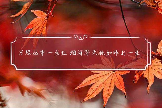 万绿丛中一点红 烟海浮天独如昨打一生肖,答案解释落实-图1 万绿丛中一点红 烟海浮天独如昨打一生肖,答案解释落实-图1