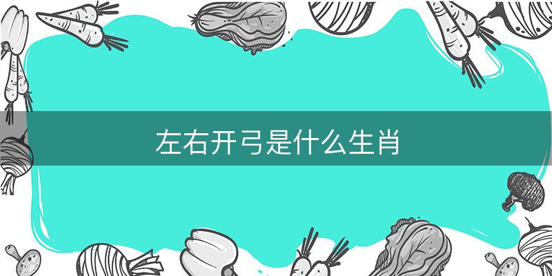 左右开弓是什么生肖,最佳解答落实-图1 左右开弓是什么生肖,最佳解答落实-图1