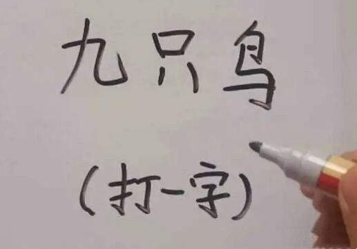 九只鸟猜一个字是什么(猜字谜九只鸟是什么字)-图1 九只鸟猜一个字是什么(猜字谜九只鸟是什么字)-图1