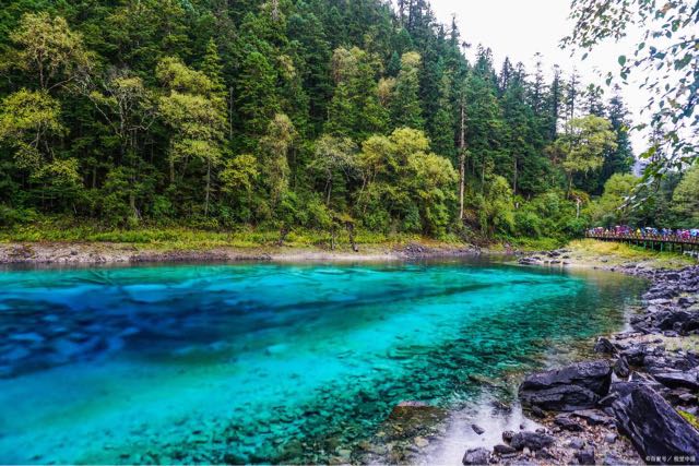 九寨沟好玩吗?值得一去吗?攻略带你玩转九寨沟-图1 九寨沟好玩吗?值得一去吗?攻略带你玩转九寨沟-图1