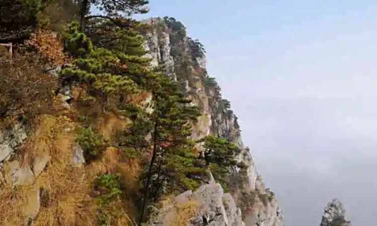 庐山在哪个省哪个市(介绍庐山的地理位置和景点)-图1 庐山在哪个省哪个市(介绍庐山的地理位置和景点)-图1