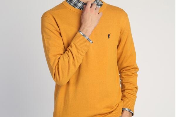 polosport是什么牌子的衣服-图1 polosport是什么牌子的衣服-图1