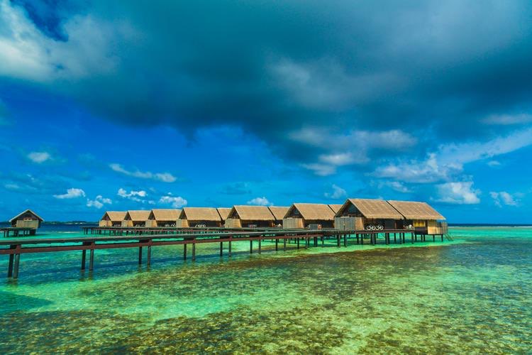 去马尔代夫旅游要多少钱(马尔代夫旅游行程报价)-图1 去马尔代夫旅游要多少钱(马尔代夫旅游行程报价)-图1