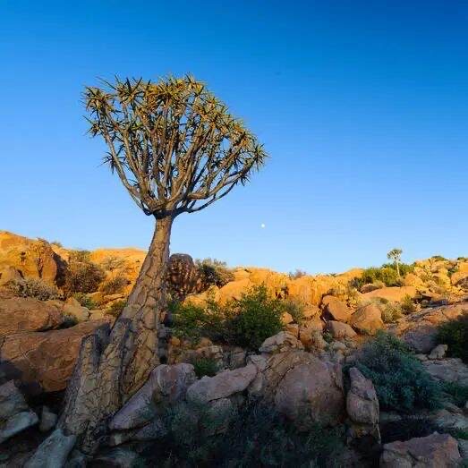 寒假南非五日游费用大揭秘!-图2 寒假南非五日游费用大揭秘!-图2