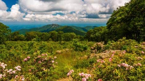 春节期间纽约酒店多少钱?探寻优惠价,尽享独特体验!-图3 春节期间纽约酒店多少钱?探寻优惠价,尽享独特体验!-图3