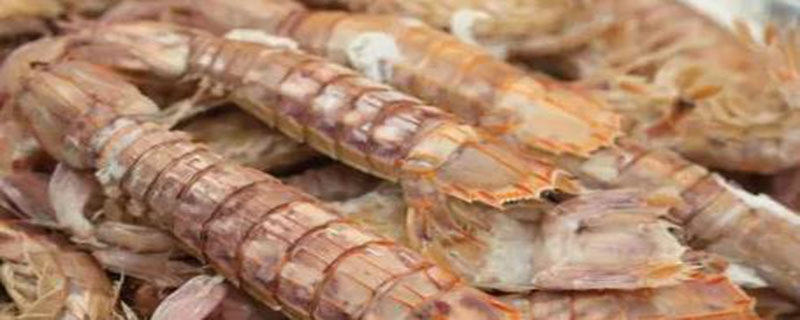 皮皮虾长什么样-图1 皮皮虾长什么样-图1