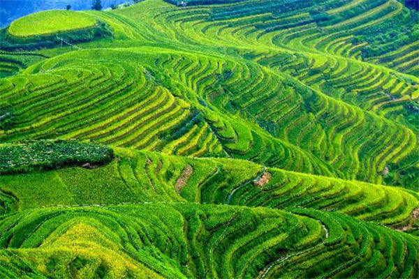 桂林十大最好玩的旅游景点(桂林景点推荐大全)-图6 桂林十大最好玩的旅游景点(桂林景点推荐大全)-图6