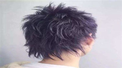 鲻鱼发型女图片大全(女士鲻鱼头效果图)-图1 鲻鱼发型女图片大全(女士鲻鱼头效果图)-图1