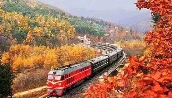 老年旅游专列都有哪几趟(老年人旅游专列)-图1 老年旅游专列都有哪几趟(老年人旅游专列)-图1