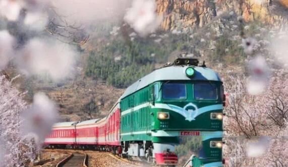 老年专列旅游真实感受(老年专列旅游好不好)-图3 老年专列旅游真实感受(老年专列旅游好不好)-图3