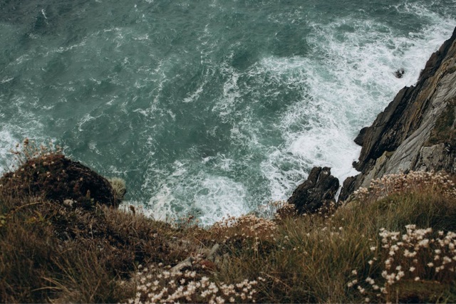 上海东方菲尼克斯庄园介绍及游玩攻略-图2 上海东方菲尼克斯庄园介绍及游玩攻略-图2