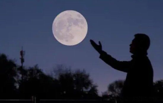 六便士和月亮是什么梗?深层含义隐喻什么(三观尽毁)-图3 六便士和月亮是什么梗?深层含义隐喻什么(三观尽毁)-图3