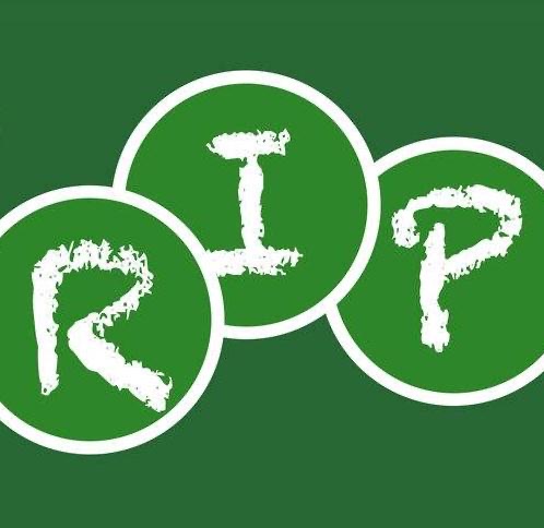 网络用语rip是什么意思是什么梗-图1 网络用语rip是什么意思是什么梗-图1