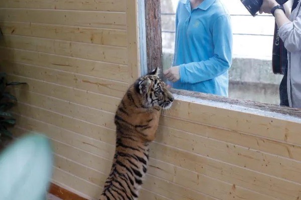 十月一去哪旅游好-十月一适合旅游的地方-图6 十月一去哪旅游好-十月一适合旅游的地方-图6