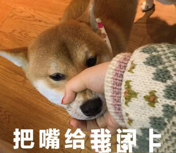 emm表情是什么意思(emm表情是什么梗)-图4 emm表情是什么意思(emm表情是什么梗)-图4