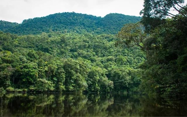 中国最美的十片森林:天山雪岭云杉景色怡人-图2 中国最美的十片森林:天山雪岭云杉景色怡人-图2