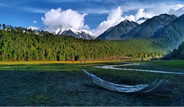 中国最美的十片森林:天山雪岭云杉景色怡人-图3 中国最美的十片森林:天山雪岭云杉景色怡人-图3